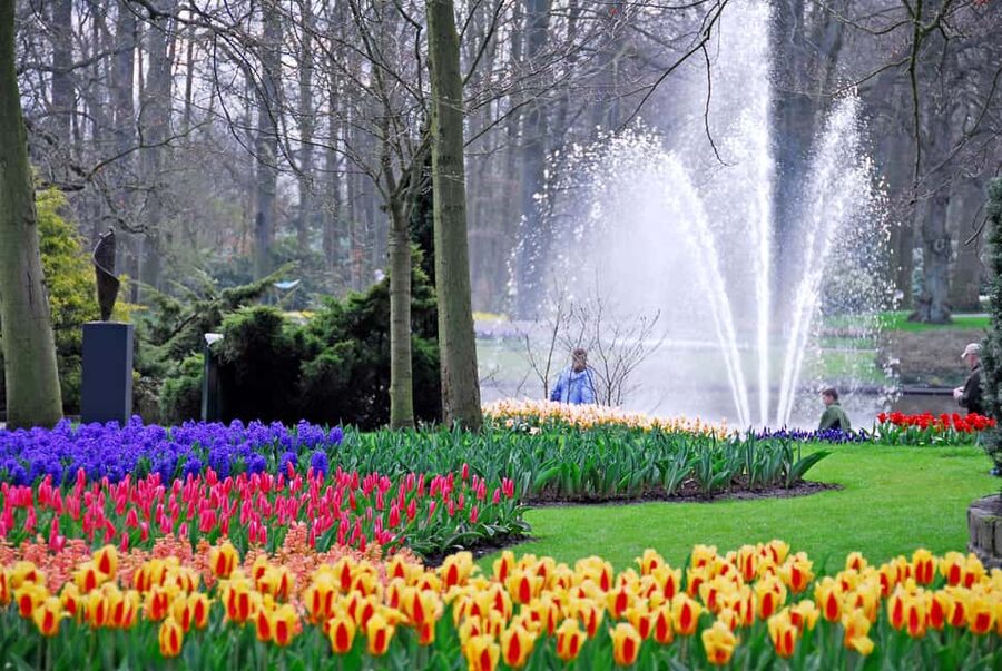 Brussels: Holland Keukenhof & Kinderdijk Guided Day Tour - Why Kinderdijk gives this tour its backbone
