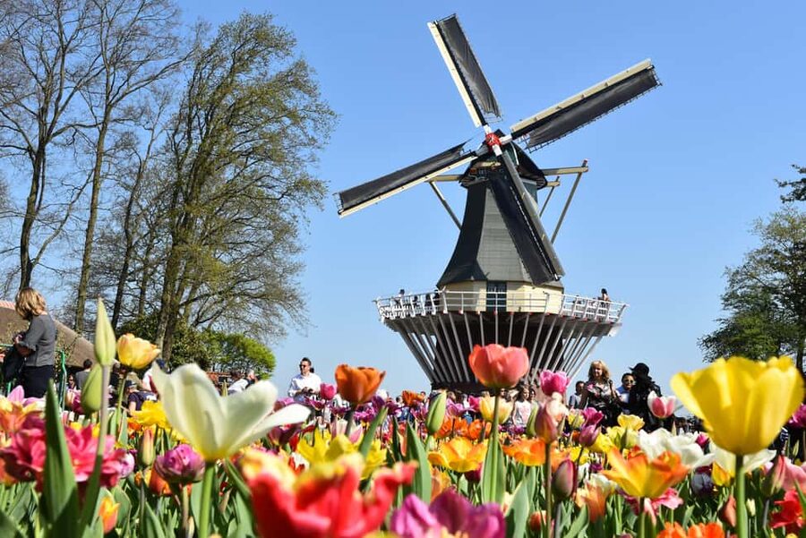 Brussels: Holland Keukenhof & Kinderdijk Guided Day Tour - How much can you see at Keukenhof?