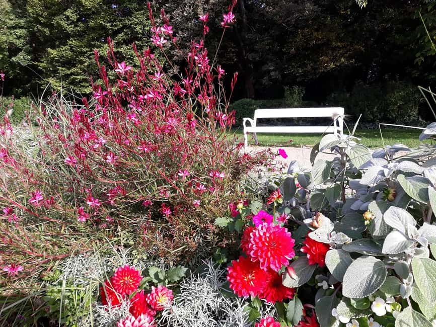 Budapest: Best Gardens Walking Tour & Folk Music Performance - Margaret Island: old trees, flowers, and a music fountain