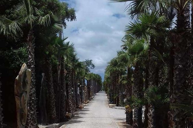 Buddha Eden Garden and Óbidos village in Portugal (70km of Lisbon) - The private format and the $414.08 price