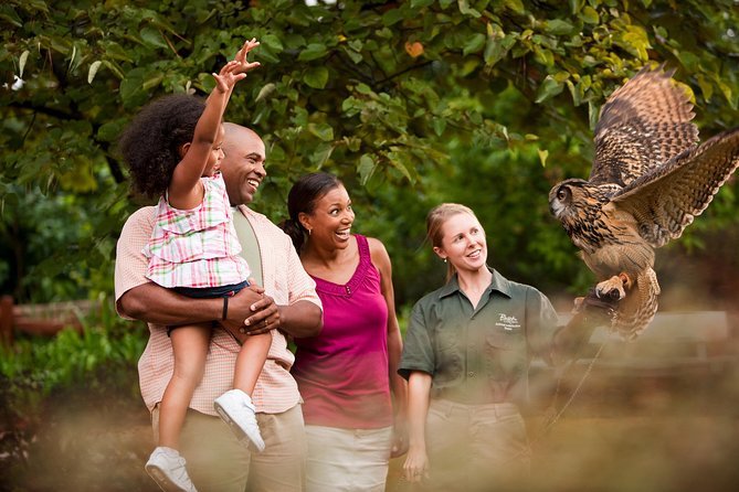 Busch Gardens Williamsburg Admission Ticket - Water Country USA as a second-park option