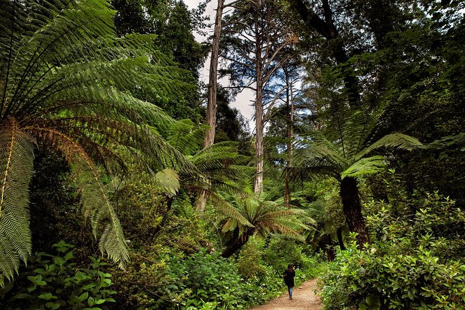 Bussaco Palace, Gardens & Forest | Private Tour - Timing, weather, and what to bring