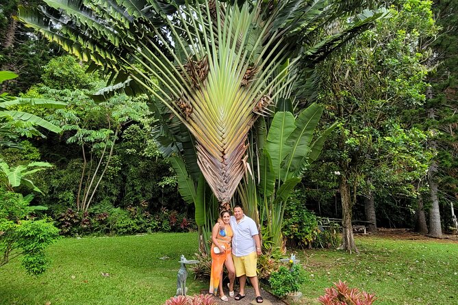 Byodo Temple and Waimea Botanical Garden Tour - A few stops for local shopping and snacks