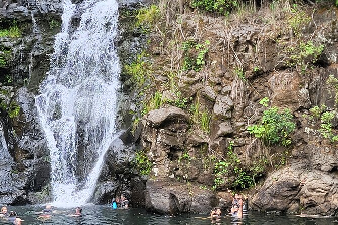 Byodo Temple and Waimea Botanical Garden Tour - Tropical Farms and the macadamia nut break