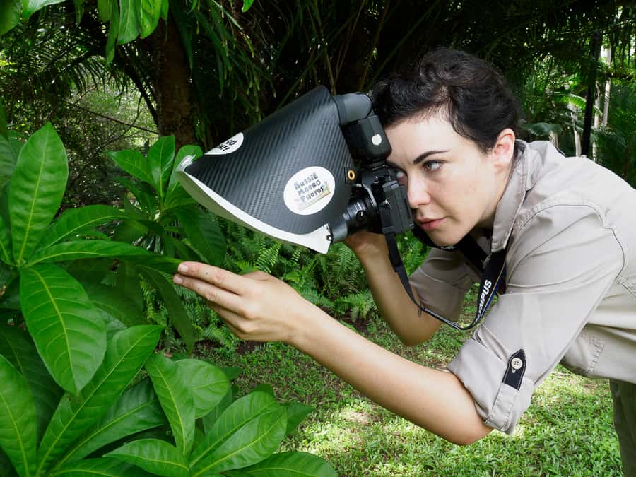Cairns: Insect Photography Tour of Cairns Botanic Gardens - Is the $56 Price Good Value?