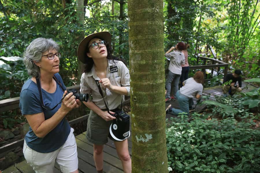 Cairns: Insect Photography Tour of Cairns Botanic Gardens - Booking Details That Matter Before You Go