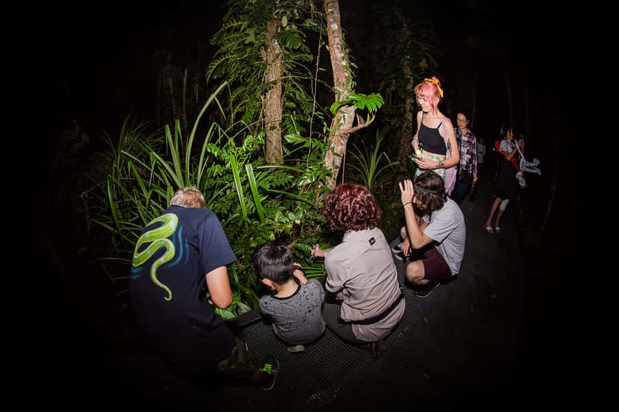 Cairns: Night Walk in Cairns Botanic Gardens - Who should book this night walk?