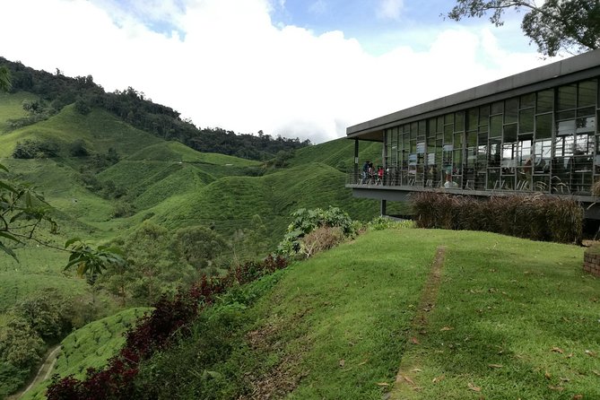 Cameron Highlands, Garden of Nature Full Day Private Guided Tour - Why Cameron Highlands makes a good city escape