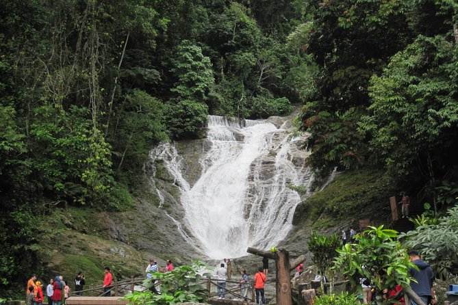 Cameron Highlands, Garden of Nature Full Day Private Guided Tour - The 7:30 a.m. start and the long mountain road