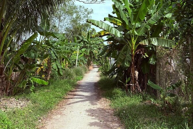 Can Tho Countryside Bike Tour with Fruit Garden Visit - Gian Gua’s giant banyan tree