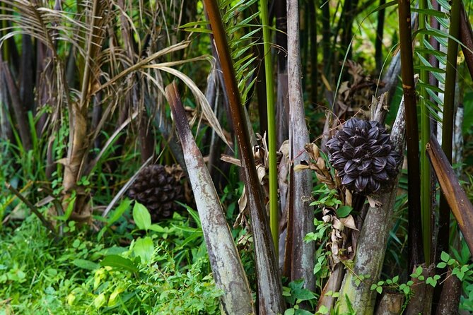 Can Tho Floating Market and Fruit Garden Tour - What the guides add to the morning