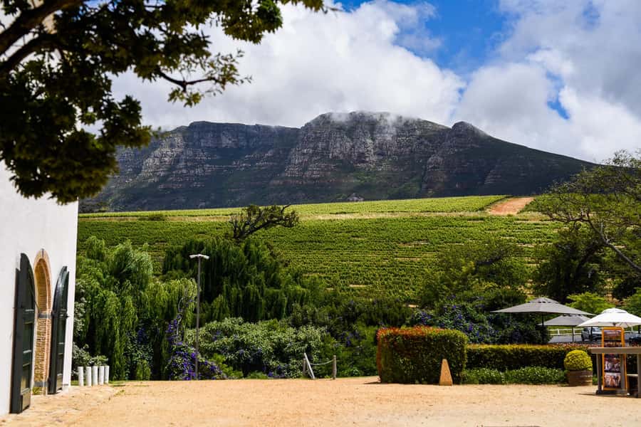 Cape Town: Constantia Half-Day Wine Tour & Tastings - Key points at a glance