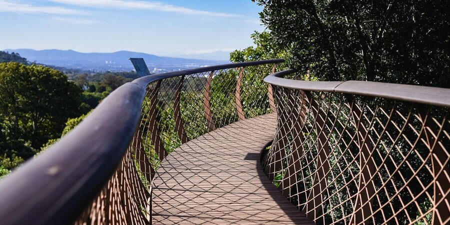 Cape Town: Constantia Half-Day Wine Tour & Tastings - Lunch and the four-hour limit