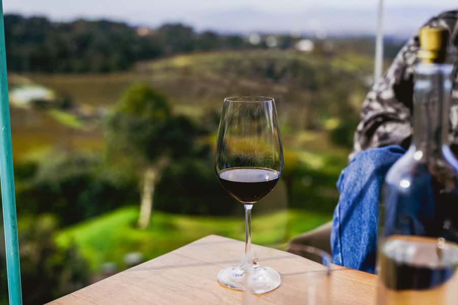 Cape Town: Constantia Half-Day Wine Tour & Tastings - The drive from Cape Town