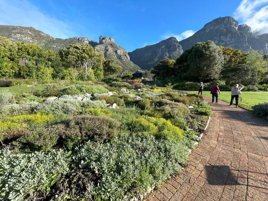 Cape Town: Half Day Table Mountain & Kirstenbosch Gardens - Who should choose this half-day outing?