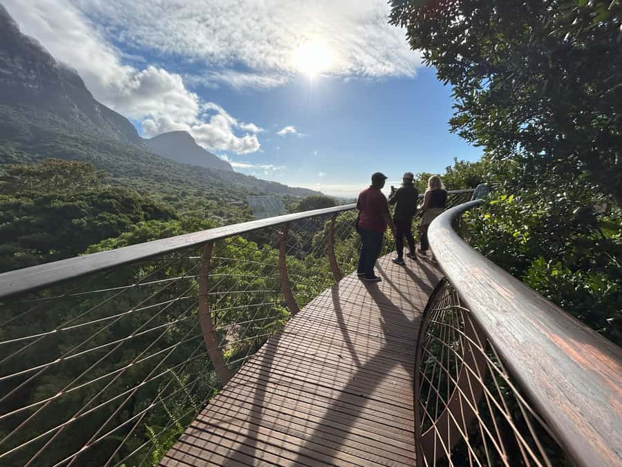 Cape Town: Half Day Table Mountain & Kirstenbosch Gardens - Practical preparation for the morning