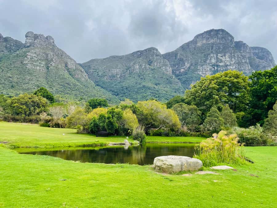 Cape Town: Kirstenbosch Botanical Garden Entry Ticket - A closer look at the garden’s conservation role