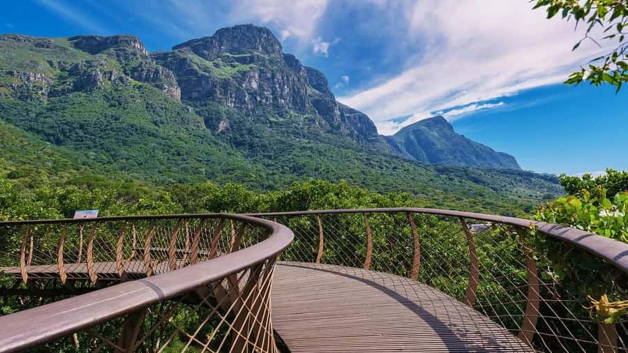 Cape Town: Kirstenbosch Botanical Garden Entry Ticket - How to plan your walking route