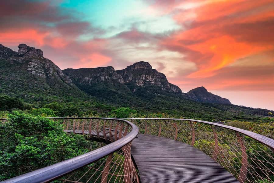 Cape Town: Kirstenbosch Botanical Garden Entry Ticket - The ticket detail you must not overlook