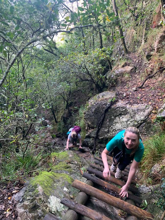 Cape Town: Skeleton Gorge and Kirstenbosch Gardens Hike - Starting among 7,000 plant species at Kirstenbosch