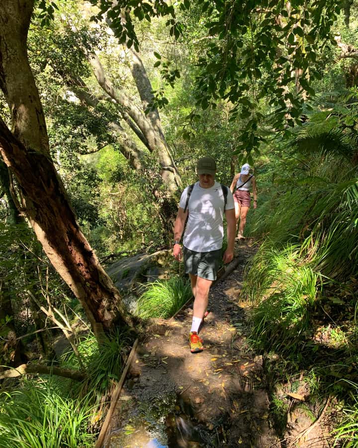 Cape Town: Skeleton Gorge and Kirstenbosch Gardens Hike - Ladders, waterfalls, and polished rock
