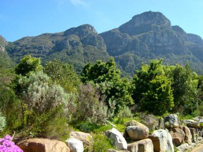 Skeleton Gorge and Kirstenbosch Gardens Hike