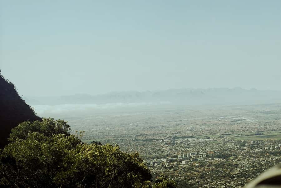 Cape Town: Skeleton Gorge and Kirstenbosch Gardens Hike - Reaching the mountain’s pale upper slopes