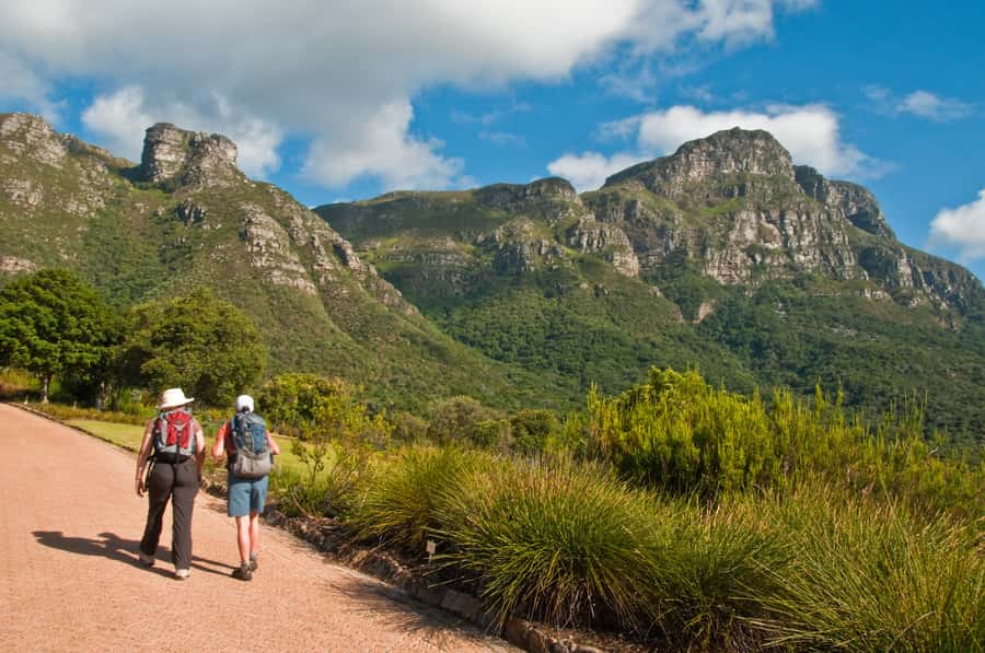 Cape Town: Skeleton Gorge and Kirstenbosch Gardens Hike - What the guides add to the walk