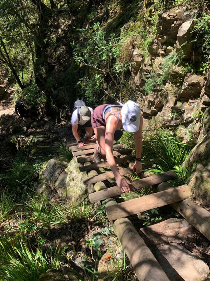 Cape Town: Skeleton Gorge and Kirstenbosch Gardens Hike - Difficulty, timing, and the real physical demand