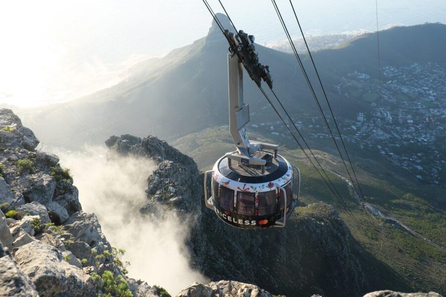 Cape Town: Table Mountain, Kirstenbosch Botanic Garden Tour - Transport, timing, and the real price