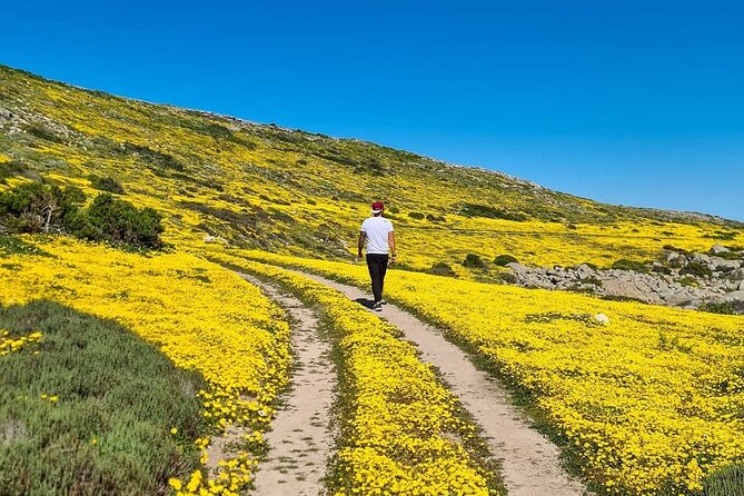 Cape West Coast Flower Tour - Entering West Coast National Park