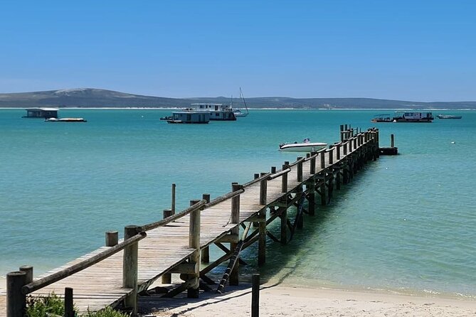 Cape West Coast Flower Tour - What the private format changes