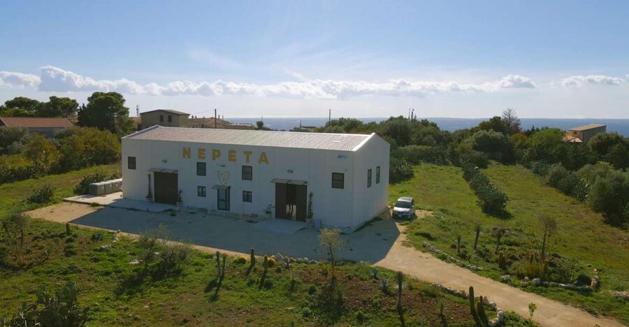 CASA NEPETA: Botanical Walk, Amari Production, and Tasting - A botanical beginning in Testa dell’Acqua