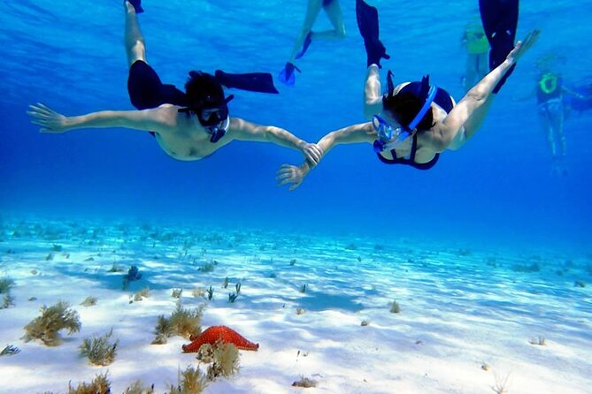Cayman Adventure: Starfish Point, Stingray City and Coral Gardens - Crew care is a major part of the value
