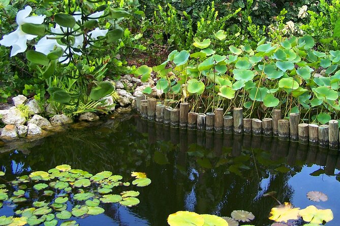 Cayman Crystal Caves & Pedro St James Castle or Botanical Garden - The guides can make or break the day