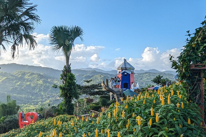Cebu City with Sirao Garden Half Day Tour - Price and value at $61 per person