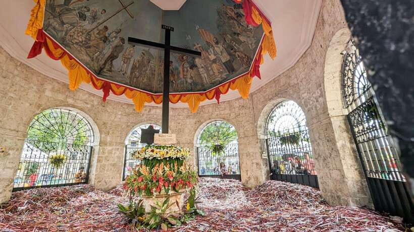 Cebu City with Sirao Garden Half Day Tour - The guide can shape the whole experience