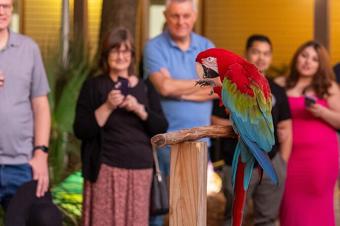 Central Florida Zoo and Botanical Gardens Ticket - The Herpetarium brings snakes and smaller creatures close