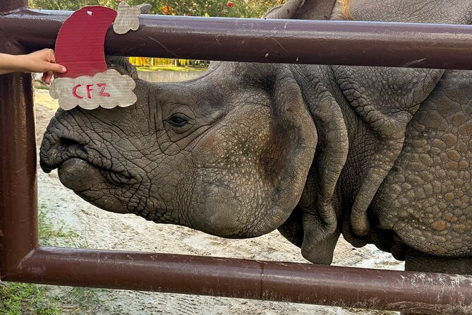 Central Florida Zoo and Botanical Gardens Ticket - Food, water, and sensible planning