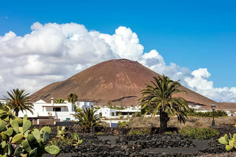 Cesar Manrique’s Lanzarote tour with Cactus Garden & LagOmar - What the four-hour format means for you