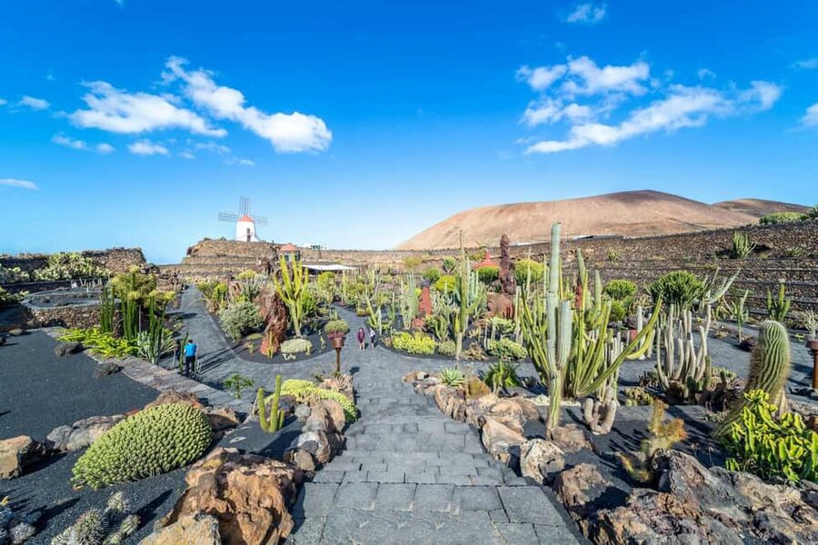 Cesar Manrique’s Lanzarote tour with Cactus Garden & LagOmar - Is $73 a fair price?