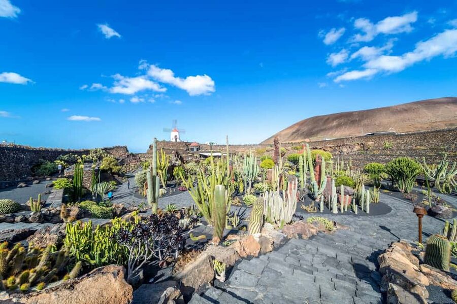 Cesar Manrique’s Lanzarote tour with Cactus Garden & LagOmar - The Cactus Garden and its 1,100 plant species