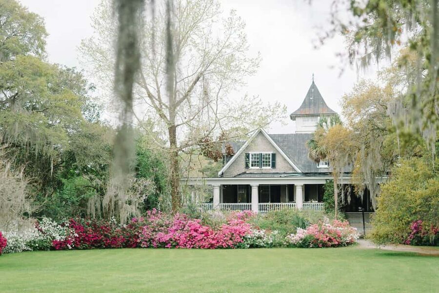 Charleston: Magnolia Plantation & Gardens Guided Tour - Key points to know before booking