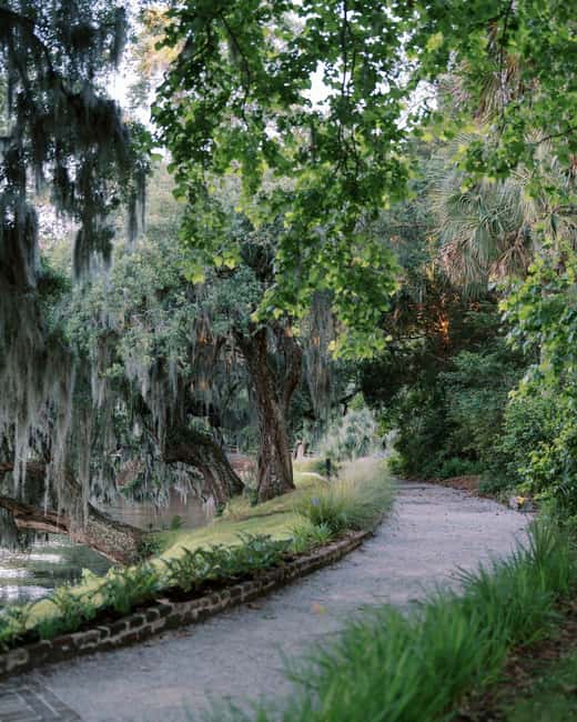 Charleston: Magnolia Plantation & Gardens Guided Tour - Why Magnolia Plantation makes a strong Charleston day trip