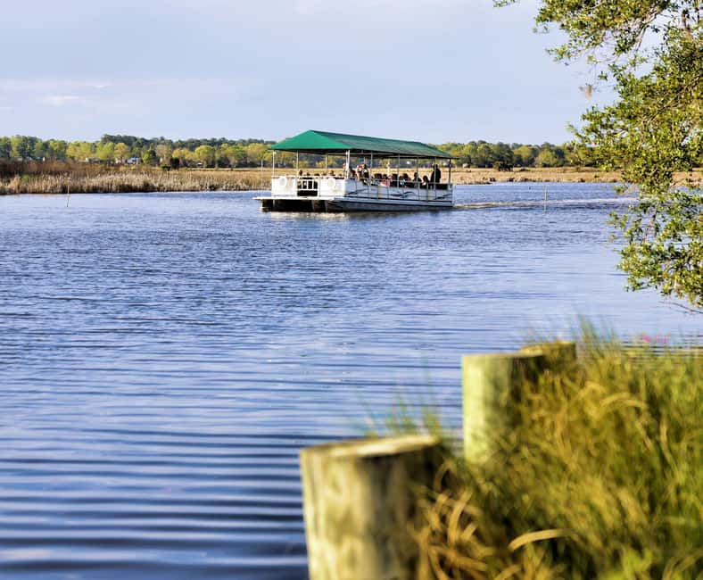 Charleston: Magnolia Plantation & Gardens Guided Tour - Is $75 a fair price?