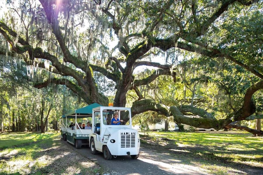 Charleston: Magnolia Plantation & Gardens Guided Tour - Leaving Charleston from the Visitor Center
