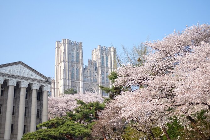 Chasing Cherry Blossom & Spring Flowers Day Tour from Seoul - Why a flexible blossom route matters in Seoul
