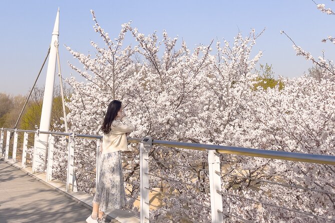 Chasing Cherry Blossom & Spring Flowers Day Tour from Seoul - Transport, pickup, and group size