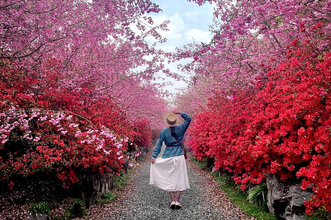 Chasing Cherry Blossom & Spring Flowers Day Tour from Seoul - Weather, traffic, and bloom timing