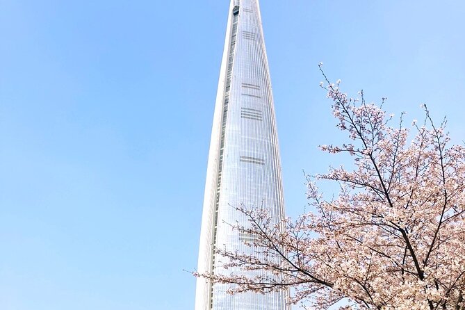Chasing Cherry Blossom & Spring Flowers Day Tour from Seoul - The Daegu possibility and what it tells you